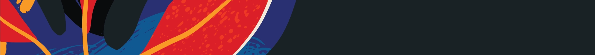 soul to soul sisterhood banner