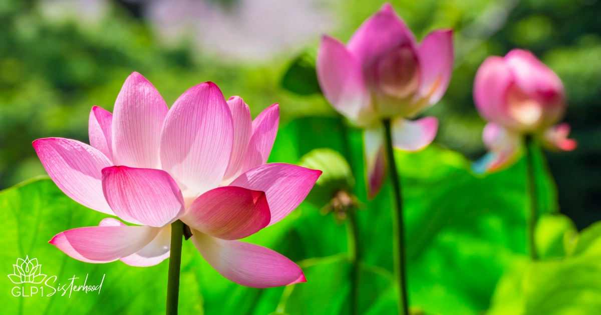 Staying Steady in the Flow Preventing Hypoglycemia in Midlife 3