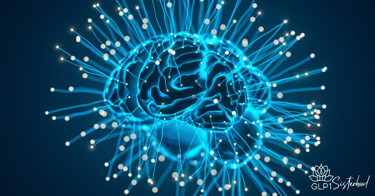 The Vagus Nerve and Your Gut 1