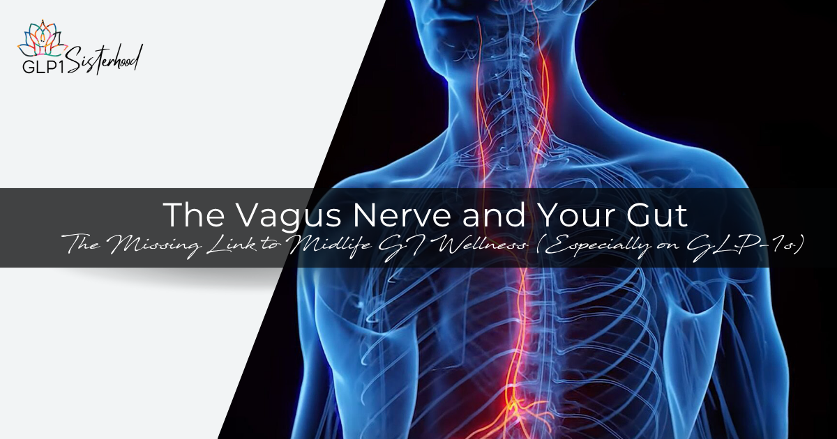 The Vagus Nerve and Your Gut 1