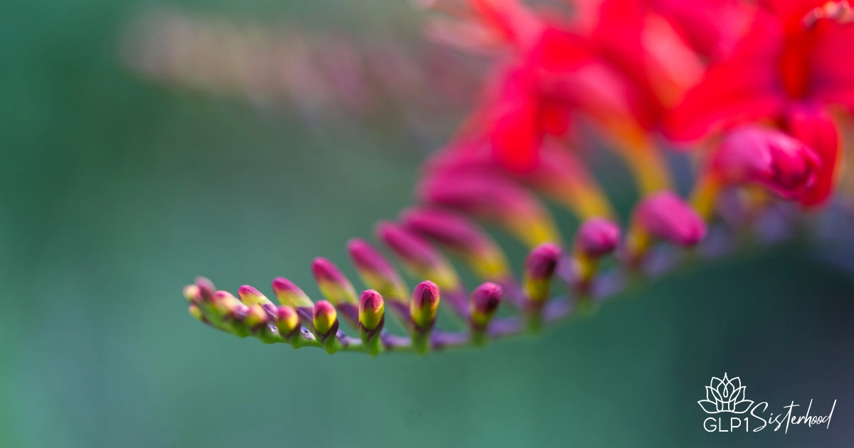 7 ways to protect yourself during weight loss c