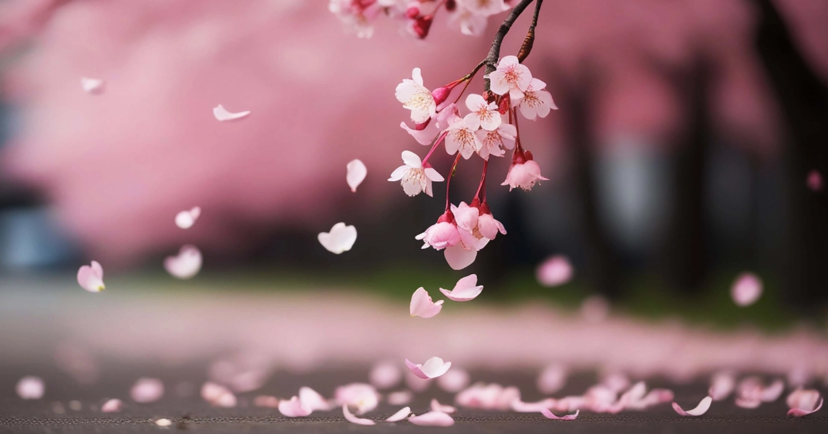 Mature Skin Support 3