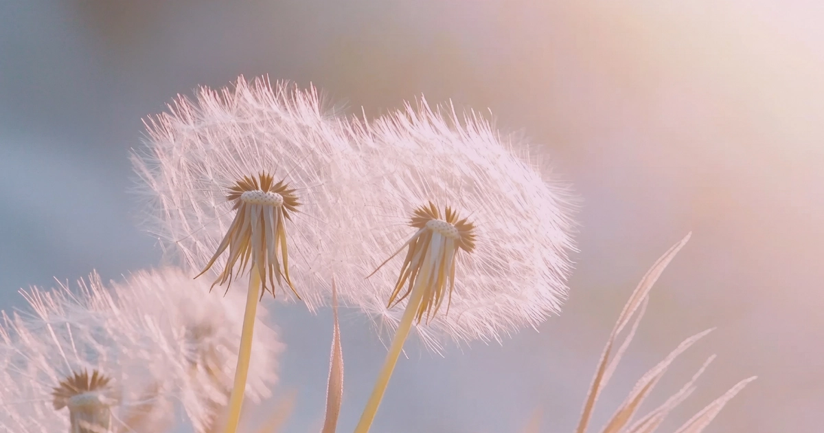 paulas choice mature skin 3